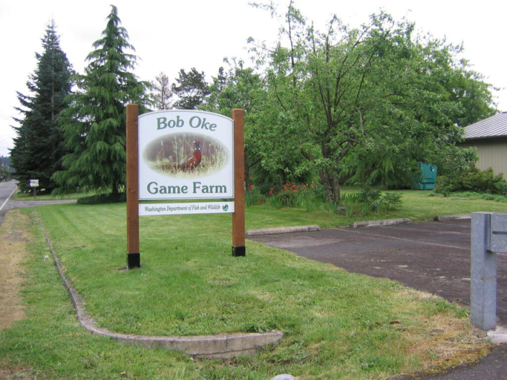 The Bob Oke state run game farm near Centralia raises pheasants for the Western Washington Pheasant Release Program. The farm has come under scrutiny for nitrates found in the groundwater reportedly from the farm&rsquo;s pheasant manure. (Photo courtesy of Washington Department of Fish & Wildlife)