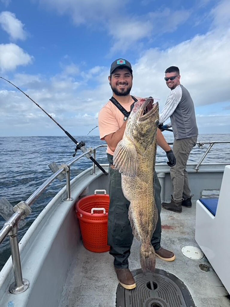 The bottomfish season opened Saturday and is only the first of many salt water options. This angler got a big, beautiful lingcod in the deep-water fishery while fishing with Sea Breeze Charters of Ilwaco. (Photos courtesy Sea Breeze Charters)