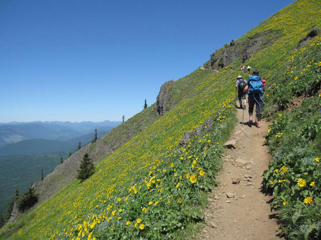 Dog Mountain is a tough, steep hike, but you can see why it&rsquo;s so popular in springtime. (Contributed by Friends of the Columbia Gorge)