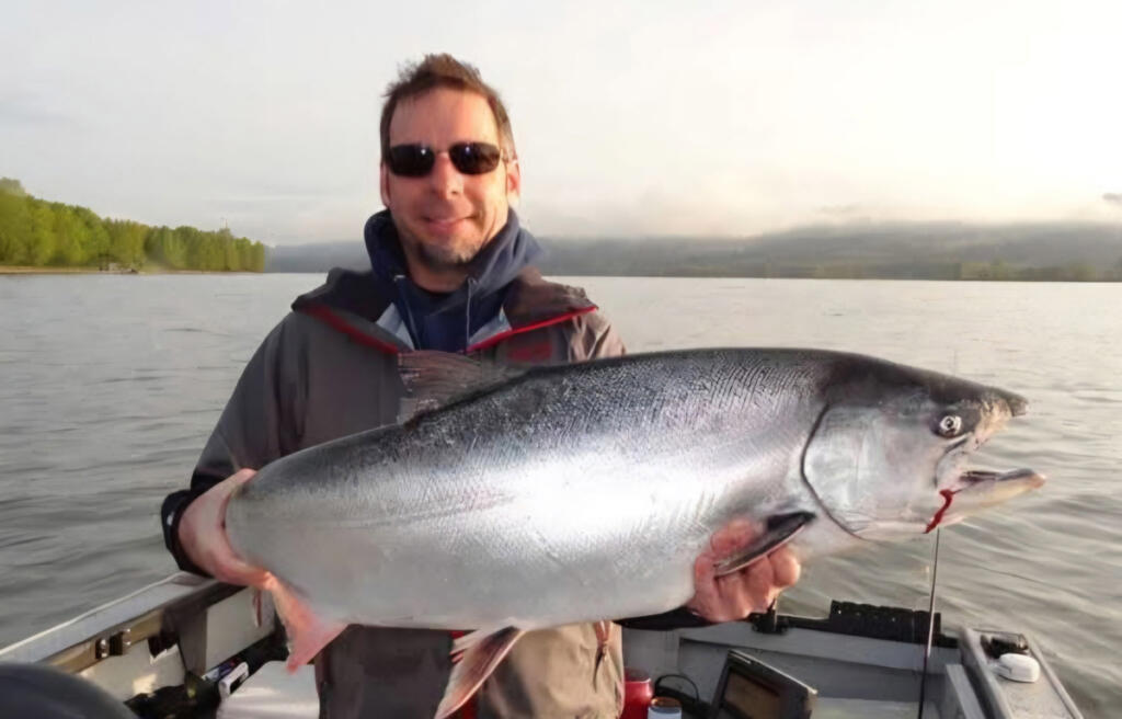 This chrome-bright spring chinook was taken last year while fishing with NW Columbia Fishing Adventures, and guide Casey Kelly. Catch rates are climbing in the Columbia River ahead of the season&rsquo;s final stretch.