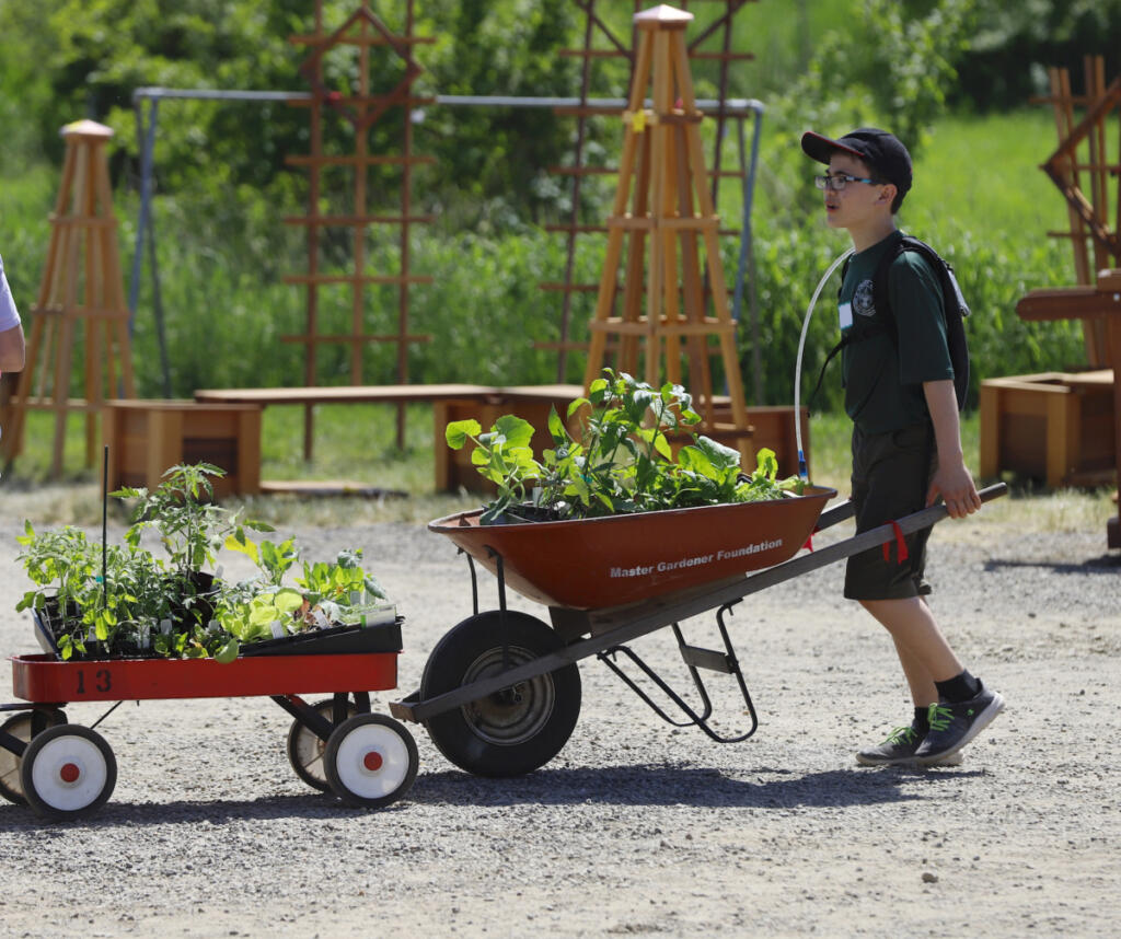 Logan Lewi, 11, of Brush Prairie, volunteers to help shoppers with their purchases along with other Boy Scouts from Troop 475 at the Master Gardener Foundation of Clark County Mother&rsquo;s Day Weekend Plant Sale. (The Columbian files)