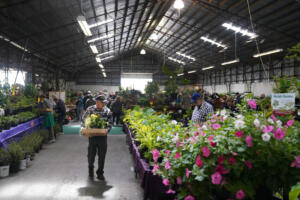 People explore the plant sale in 2019 at the Home and Garden Idea Fair hosted by Clark Public Utilities at the Clark County Fairgrounds. The event includes one of the largest plant sales in the area. (The Columbian file photos)