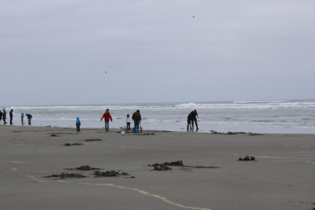 Families gather for a daytime dig last spring. These are popular digs for families with children. It is easier to stay safe in the daylight digs. (Terry Otto for The Columbian)