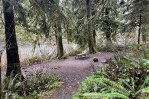 The Lyre River Campground in Port Angeles will close from September until April next year. It&rsquo;s one of 11 campgrounds affected by state funding cuts to the Department of Natural Resources. (Photo courtesy of Washington State Department of Natural Resources)