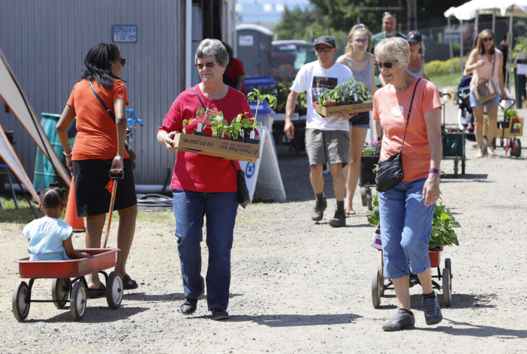 Lura Morrow, left, of Battle Ground and Sharon Handlos, right of Brush Prairie, carry plants they selected at the Master Gardener Foundation of Clark County Mothers&rsquo; Day Weekend Plant Sale. (The Columbian files)