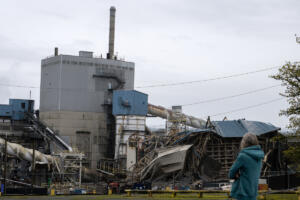 Karen Roberts of Camas, a former employee of the Georgia-Pacific Camas Mill, looks over the aftermath of a controlled fall of a boiler on April 1. The boiler removals are part of the company&rsquo;s multiyear revitalization project. (Amanda Cowan/The Columbian)