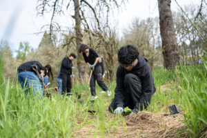 Fort Vancouver High School junior Carlos Lopez plants a yellow monkey flower plant April 9, 2025, at Baz River Front Park in Camas.
Students from Hudson&rsquo;s Bay and Fort Vancouver high schools spent the morning removing invasive species and planting trees and other plants to help restore salmon habitat through Lower Columbia Fish Enhancement Group&rsquo;s Seeds to Salmon program, which is in danger after cuts from the Legislature. (Taylor Balkom/The Columbian files)