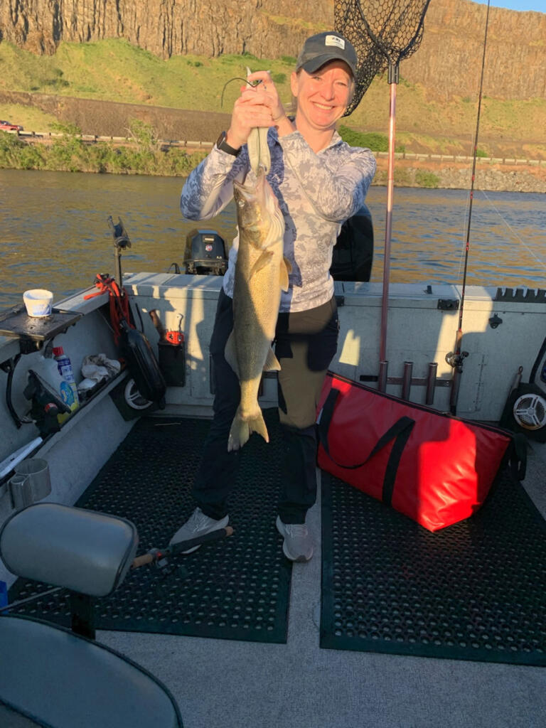 A real dandy of a walleye taken in The Dalles Pool. The hot fishing will continue into July, but will slow as the water warms later in the summer.