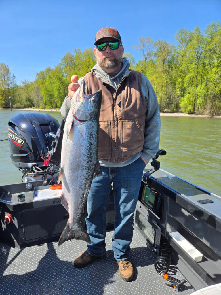 On May 11, the states finalized plans to allow more days of spring chinook retention on the lower Columbia River. Anglers below Bonneville will get six more days, while above the dam there will be five additional days. (Photo courtesy of Matt Halseth Guide Service)