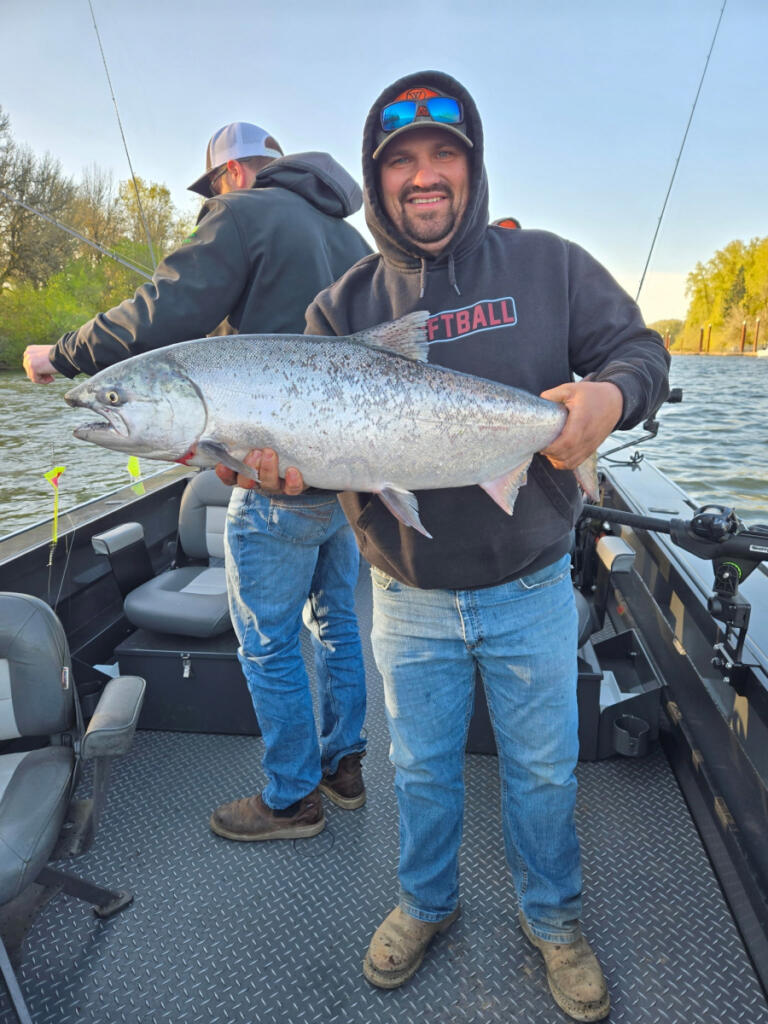 This fine lower Columbia River spring Chinook was taken earlier this year while fishing with Matt Halseth&rsquo;s Guide Service. Anglers will get six additional days this month to fish the lower Columbia. (Photo courtesy of Matt Halseth Guide Service)