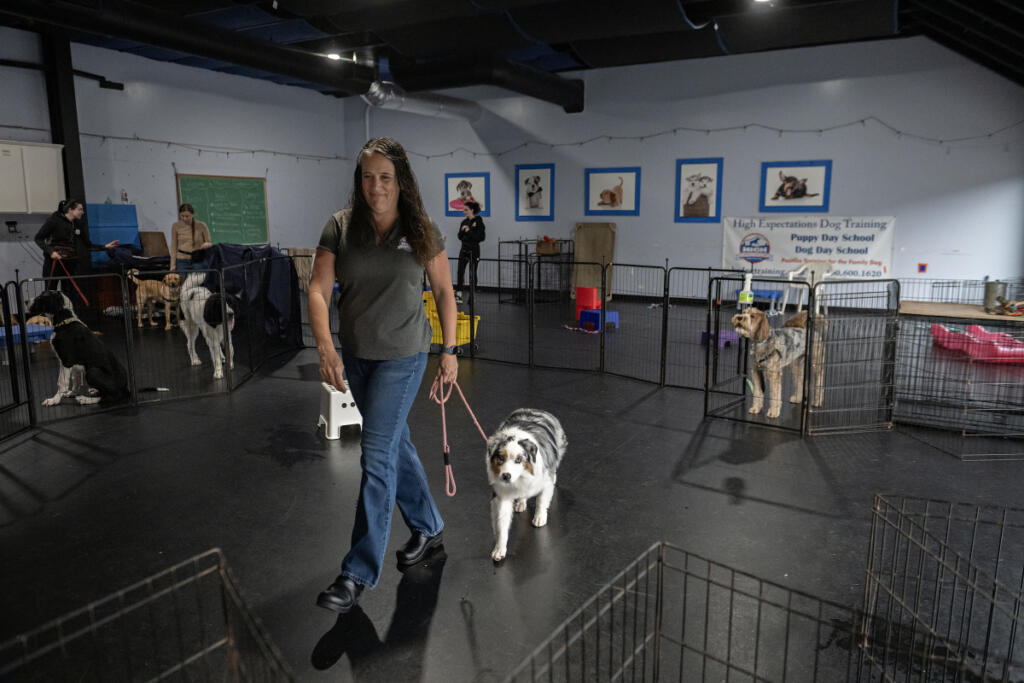 Katie High, owner and lead trainer at High Expectations Dog Training, takes a break with four-legged client Raine, 2, in Camas on Wednesday morning. &ldquo;A dog trainer actually works mainly with the (owner) and not the dog,&rdquo; High said. &ldquo;I don&rsquo;t teach the dog; I teach the people how to teach their dog. You have to be really good with people in order to be a successful dog trainer.&rdquo; (Amanda Cowan/The Columbian)