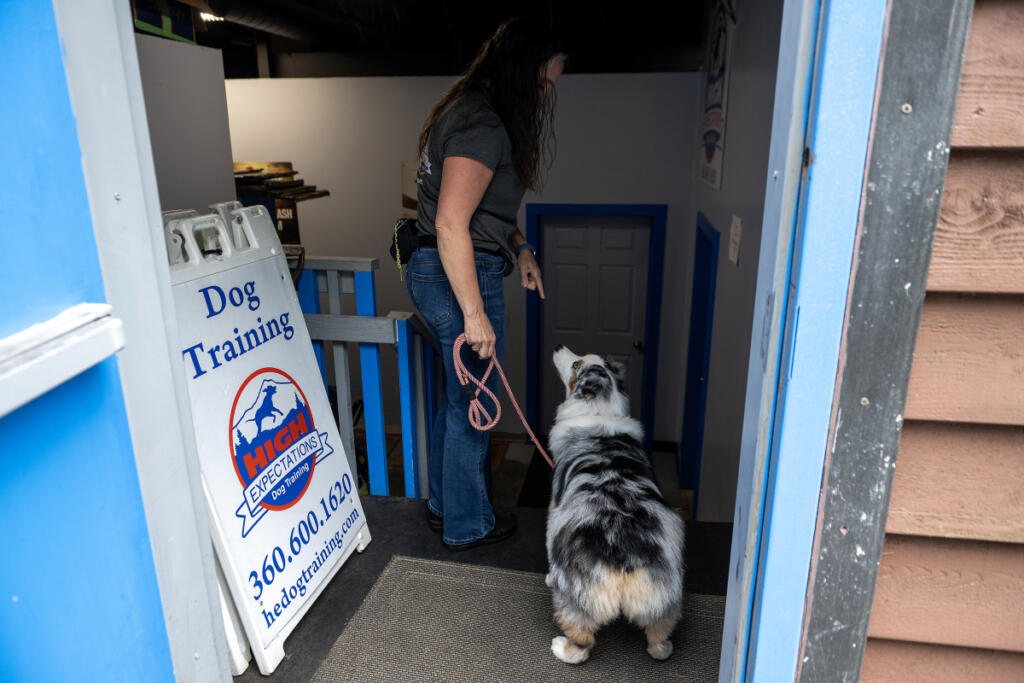 Katie High, owner and lead trainer at High Expectations Dog Training, shares a moment with four-legged client Raine, 2, in Camas on Wednesday morning. &ldquo;I love to help dogs feel happy, comfortable and relaxed, because that&rsquo;s when they can actually learn,&rdquo; High said. (Photos by Amanda Cowan/The Columbian)
