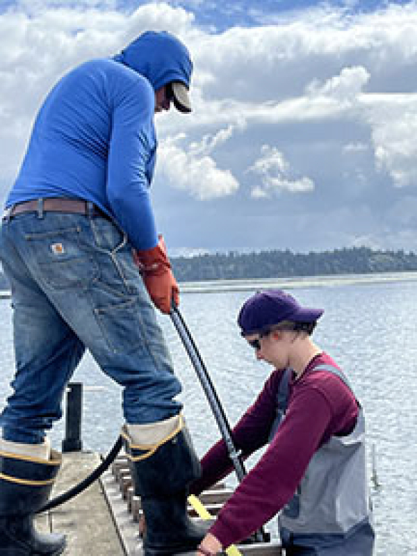 University of Washington scientist Alan Trimble, left, and daughter Katie Ruesink lower a concrete vibrator into the sediment from a floating platform in Willapa Bay&rsquo;s tidal flats. UW scientist and biology professor Jennifer Ruesink recently released her research findings on how a combination of vibration and compaction can reduce ghost shrimp populations. (Contributed by Jennifer Ruesink/University of Washington)