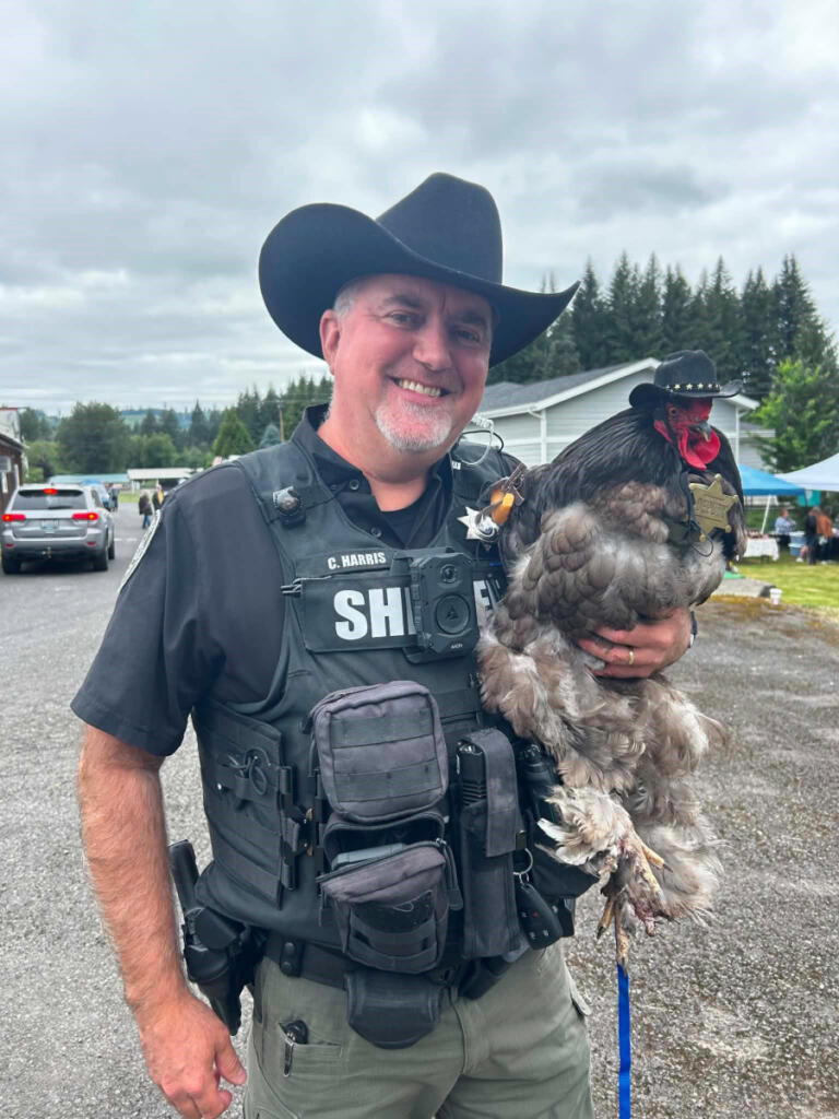 A chicken is dressed as a sheriff&rsquo;s deputy during the first Chicken Fashion Show hosted by Jordana LaSalle in 2025. The show returns to Yacolt June 20. (Photos contributed by Jordana LaSalle)
