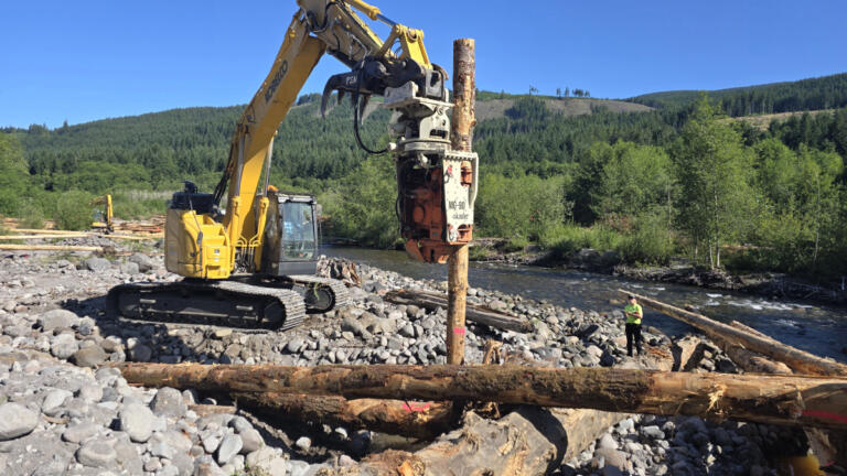 A skidder is used to place a log in the South Fork Toutle River in July 2025. The Lower Columbia Fish Enhancement Group is continuing its salmon habitat-restoration work this year, using helicopters to bring 2,000 to 3,000 logs to the site.