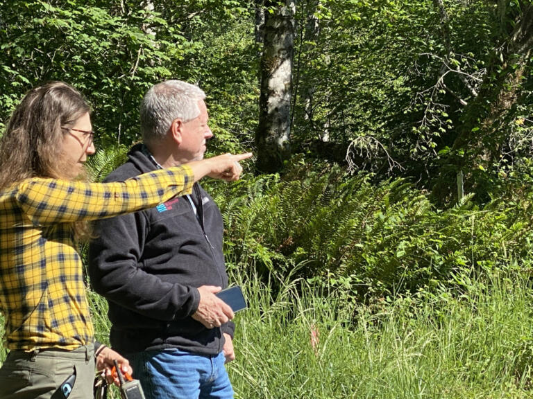 Morgan Morris, left, executive director of the Lower Columbia Fish Enhancement Group, explains Thursday how salmon habitat-restoration work is proceeding along the South Fork Toutle River to Steve Manlow, executive director of the Lower Columbia Fish Recovery board.