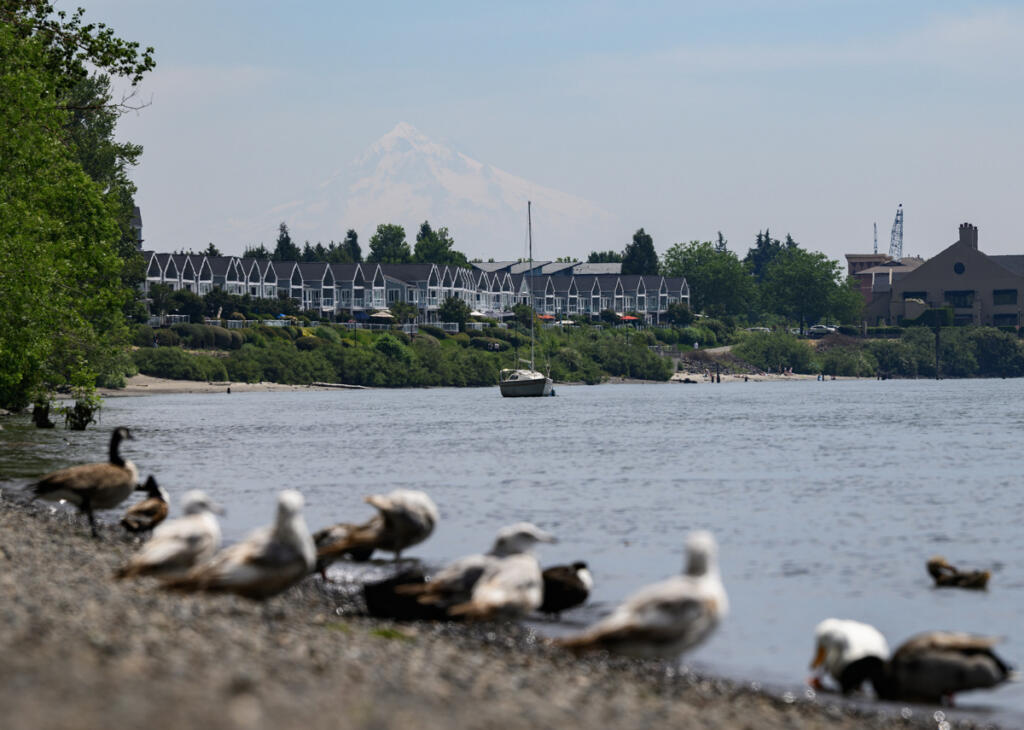 Mount Hood in Oregon is faintly visible through haze and smoke as seen June 15 from the shores of the Columbia River (taylor balkom/The Columbian)