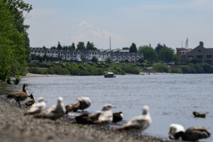 Mount Hood in Oregon is faintly visible through haze and smoke as seen June 15 from the shores of the Columbia River (taylor balkom/The Columbian)