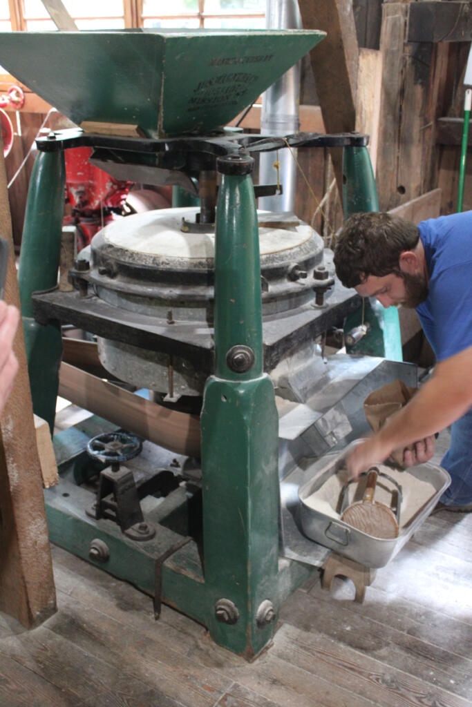 Bradley Zumstein, treasurer of the Friends of the Cedar Creek Grist Mill group, dips into a vat of freshly milled flour at the historic Woodland grist mill on Saturday afternoon.