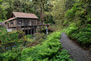 A misty, springtime rain blankets the Woodland area as the Cedar Creek Grist Mill shows signs of the season April 24, 2020. The mill was built in 1876 and is listed on the National Register of Historic Places. (Amanda Cowan/The Columbian files)