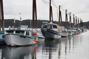 The SAFE area fisheries provide income for commercial fishers and their families. By some estimates, these fisheries produce an economic boost of over $12 million to local communities in the lower Columbia River. (The Columbian files)