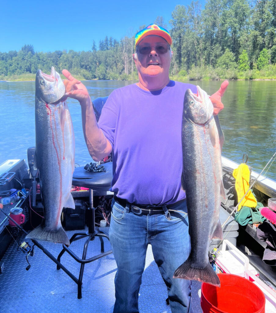A fine limit of summer steelhead from the Cowlitz. These fish were taken while fishing with guide Dave Mallahan. (Photo courtesy of Fishing with Dave Guide Service)