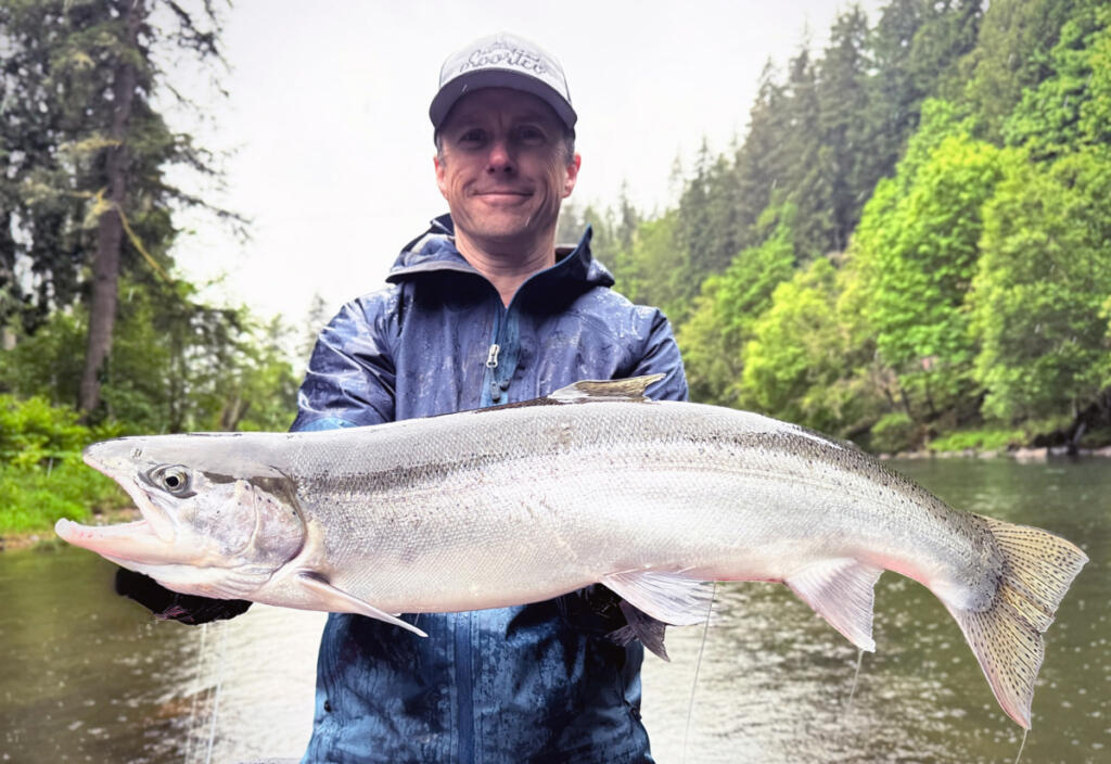 Summer steelhead are moving into local rivers. This big one was taken while fishing with Chrome City Guide Service. (Photo courtesy of Chrome City Guide Service)