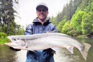 Summer steelhead are moving into local rivers. This big one was taken while fishing with Chrome City Guide Service. (Photo courtesy of Chrome City Guide Service)