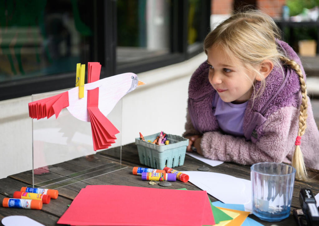 Hazel Bendt, 6, looks at an example bird before coloring her own Wednesday during a Reading in the Wild event at the Water Resources Education Center in Vancouver. (Taylor Balkom/The Columbian)