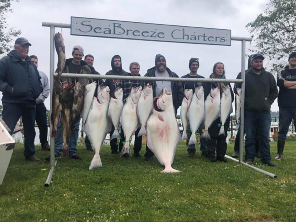 This unusually large halibut that weighed 87 pounds was caught while fishing with Sea Breeze Charters.