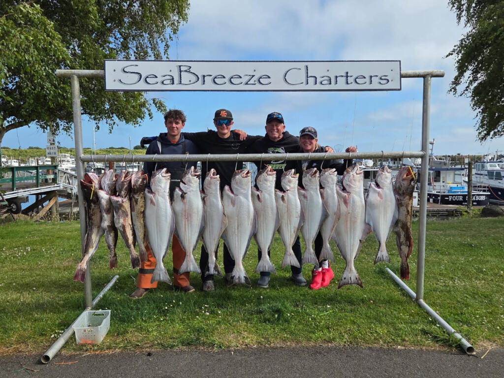 Rough spring weather kept the charter boats and others from fishing many of the days of the early halibut season, leaving some quota on the table. The coastal halibut fishery is currently open every day through September. (Courtesy of Sea Breeze Charters)