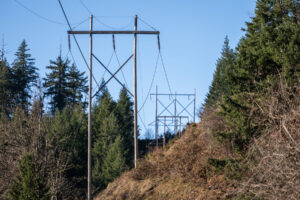 Transmission poles support wires Jan. 16 near Swift Dam in Cougar. A draft plan released by the Northwest Power and Conservation Council addresses the region&rsquo;s power needs in the coming years. (Taylor Balkom/The Columbian files)
