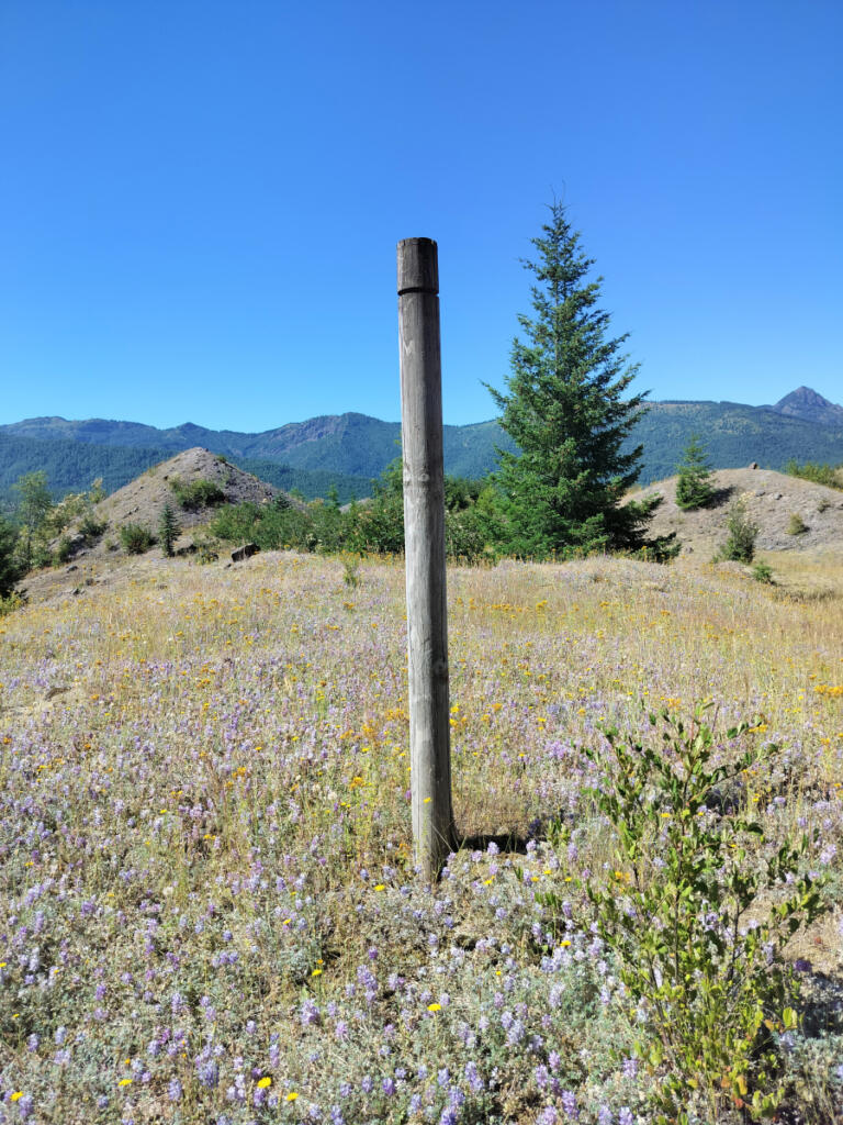 Tall wooden poles dot the landscape around Mount St. Helens. They help hikers stick to trails and help scientists track erosion on the changing landscape. (Scott Hewitt/The Columbian)