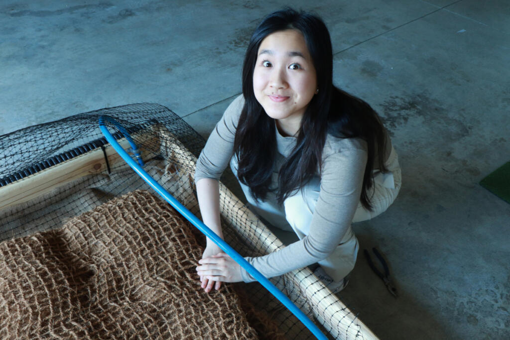 Emily Jiang, a rising Camas High School senior, designed and built a floating island &mdash; a 4-by-7-foot raft planted with native wetland species &mdash; to help combat toxic blue-green algae blooms in Fallen Leaf Lake. (Contributed by Emily Jiang)