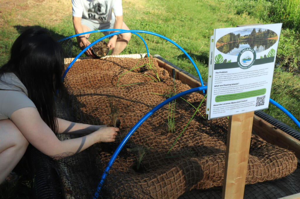 Camas High School rising senior Emily Jiang prepares her floating island for launch into Fallen Leaf Lake in Camas on July 3. (Contributed by Emily Jiang)