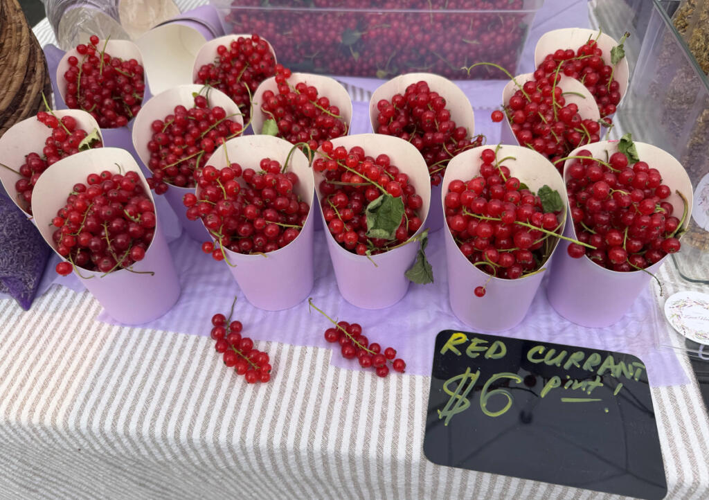 Currants from Zmit Haven Farm are perfect to make a cheeseboard or charcuterie board sing. (Rachel Pinsky)