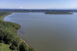 Clark County Public Works&rsquo; clean water division is applying for grant funds from the state Department of Ecology to help fund four projects, including a reforestation effort in the lowlands of Vancouver Lake, seen here in 2023. (Taylor Balkom/The Columbian files)