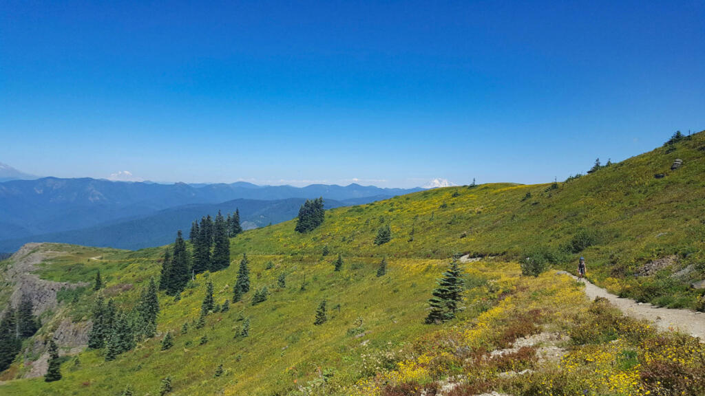 The Silver Star area is one of the locations with roadless rules protections close to Vancouver. The popular hiking area is located in the Gifford Pinchot National Forest and could see new roads built through a change in federal policy. (Photo courtesy of the Cascade Forest Conservancy)