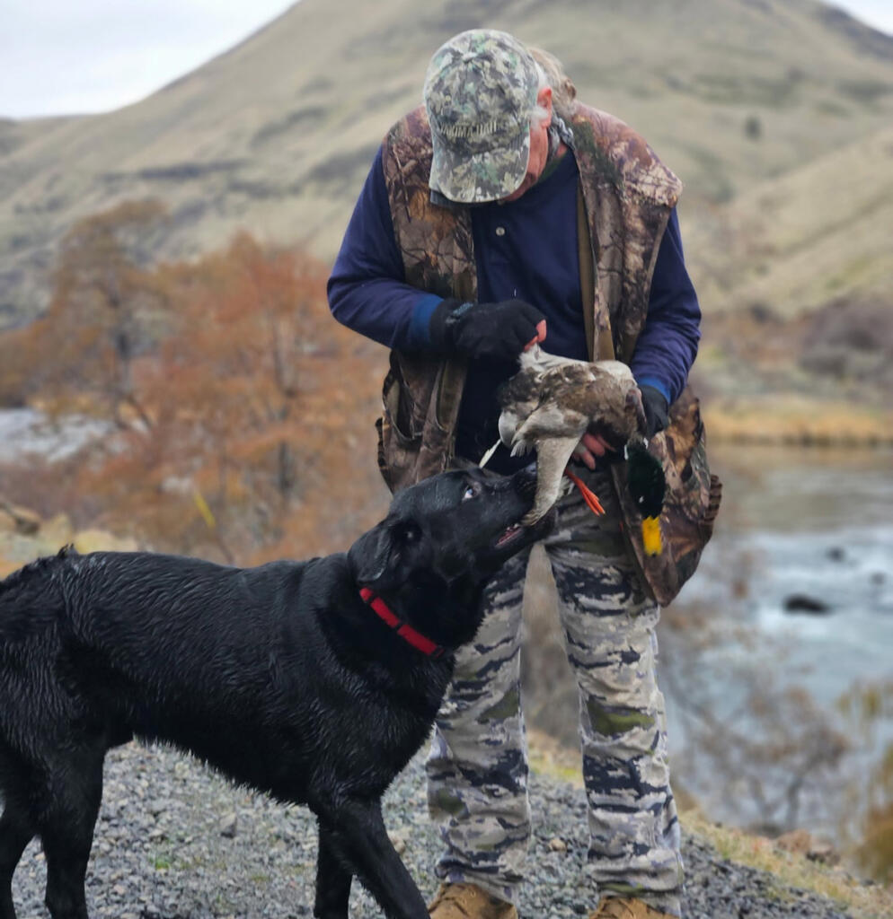 A mallard drake comes to hand, carried by a well-trained retriever. Last year hunters struggled to find success hunting waterfowl in Southwest Washington. (Photos by Terry Otto for The Columbian)