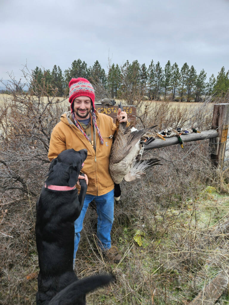 Hunters take good numbers of Canada geese in southwest Washington, but there are specific regulations regarding the hunting of these birds. Hunters must pass a test to show they can identify the different subspecies of Canada goose and are able to avoid taking Duskies. (Terry Otto for The Columbian)