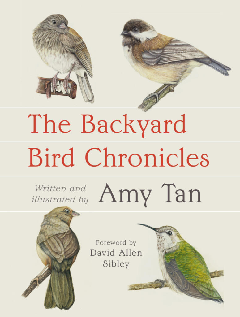 &ldquo;The Backyard Bird Chronicles&rdquo; by Amy Tan. (Contributed by The Steven Barclay Agency, Inc.)
