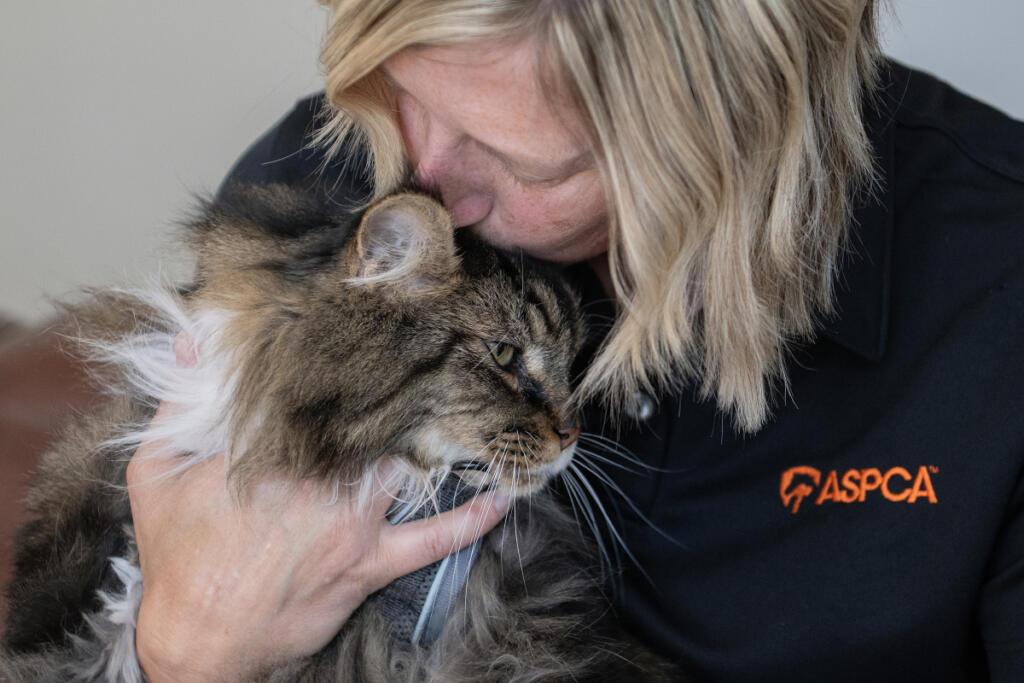 Susan Anderson relaxes at her Vancouver home with her cat Bronto on Sept. 16.