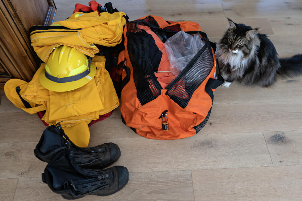 Bronto, 10, the cat belonging to Susan Anderson, is pictured next to the gear Anderson uses in the field.