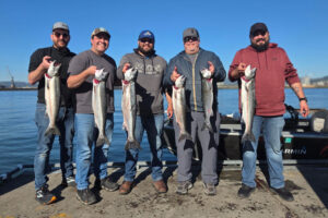 The late coho runs to local tributaries are the final chapter in what has been an excellent fall salmon season. However, whether the run is a strong one is yet to be seen as late-run coho will start entering Columbia River tributaries in the weeks ahead. (Photo courtesy NW Columbia Fishing Adventures)