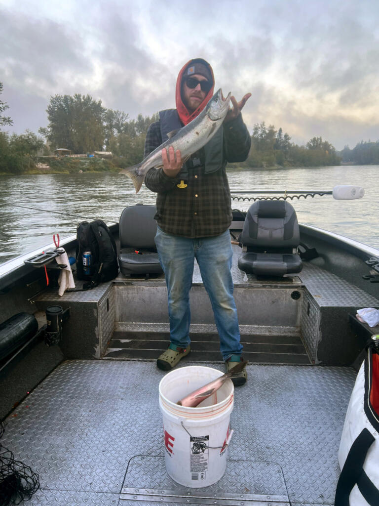 A Cowlitz River coho taken while fishing with guide Dave Mallahan. The Cowlitz gets a very strong late run of these fish, but the hatchery to wild ratio can be poor. (Photo courtesy of Fishing with Dave Guide Service)