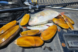 Razor clamming season was expected to open for the first digs of the season on Washington beaches on Oct. 9, but the state was forced to close the season indefinitely after testing detected heavy marine toxins in the clams. (Terry Otto for The Columbian)