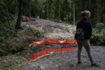 The bridge at Lacamas Regional Park remains under construction as Clark County Public Works communications manager Kaley McLachlan-Burton looks over the area on Tuesday morning. (Photos by Amanda Cowan/The Columbian)
