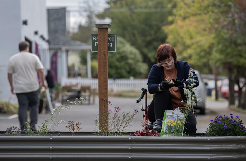 Daria Eremenko of Washougal plants bulbs outside Radiate Coffee and Community in Camas on Wednesday morning. David and Kelly Wigen, the shop&rsquo;s co-owners, said they hope to build a greenhouse on an adjacent site for enrichment activities. (Amanda Cowan/The Columbian)