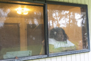 Cheyonna Lewis looks out the broken window of a bedroom in her east Vancouver home in 2024. &ldquo;I was at one point a healthy, productive adult,&rdquo; she said. &ldquo;But then my situation changed &mdash; like thousands of people&rsquo;s situations changed. I&rsquo;m not ashamed that all I can do now is go forward.&rdquo; (Taylor Balkom/The Columbian files)